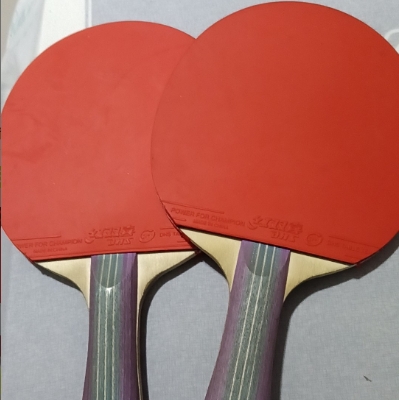 球馆倒闭不干了，出红双喜球拍